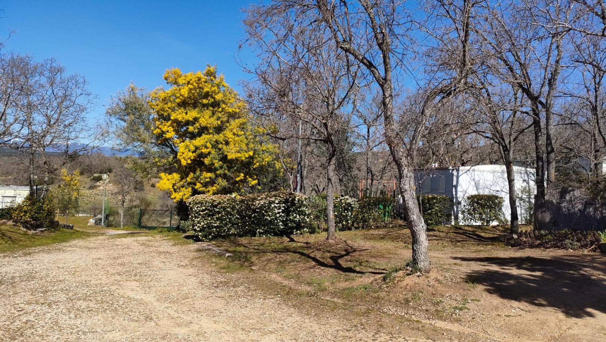 Camping De Cervera De Buitrago Exterior photo